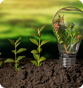 Bioenergia